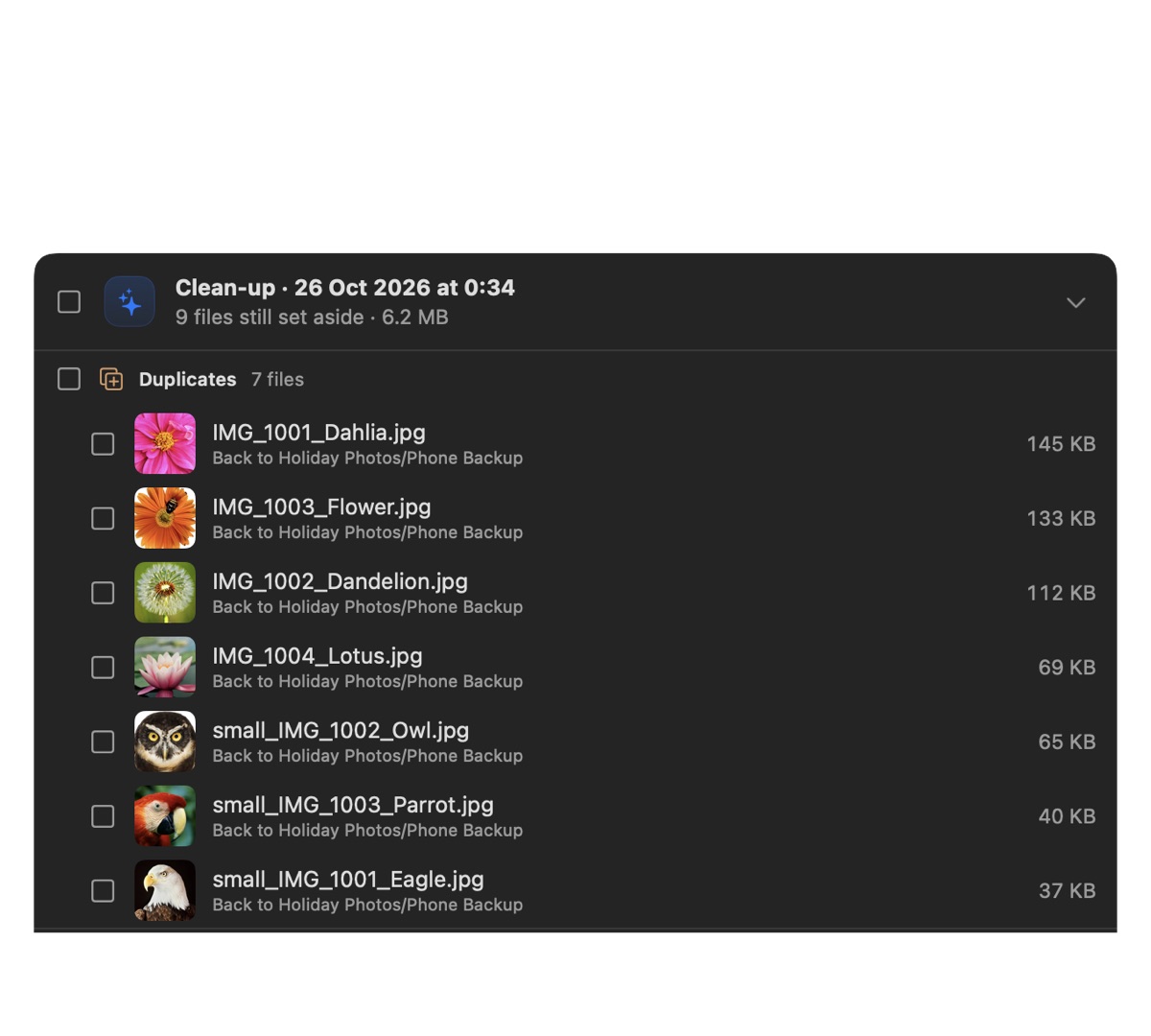 The Restore window listing past clean-ups with files to put back